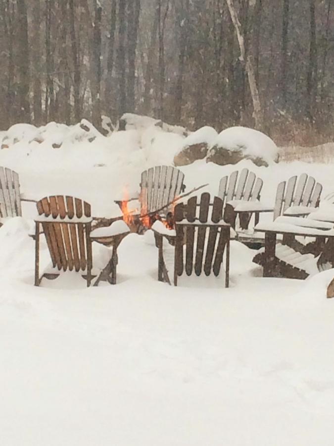 Lodge Adirondack Spruce *