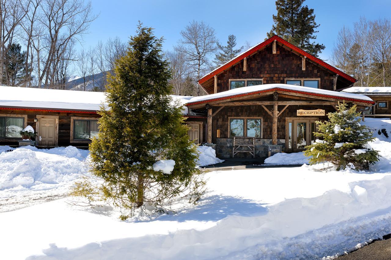 Adirondack Spruce * Wilmington