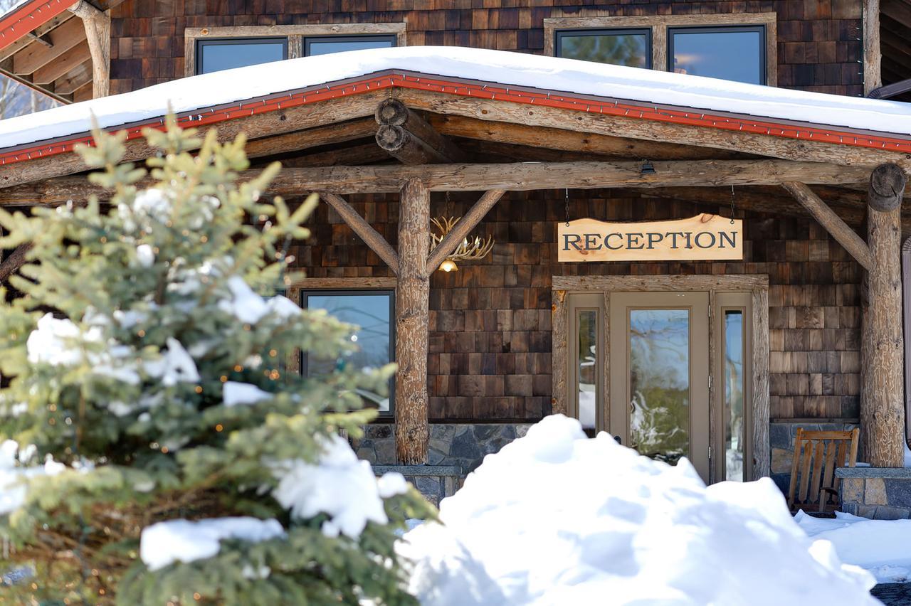 Adirondack Spruce * Wilmington