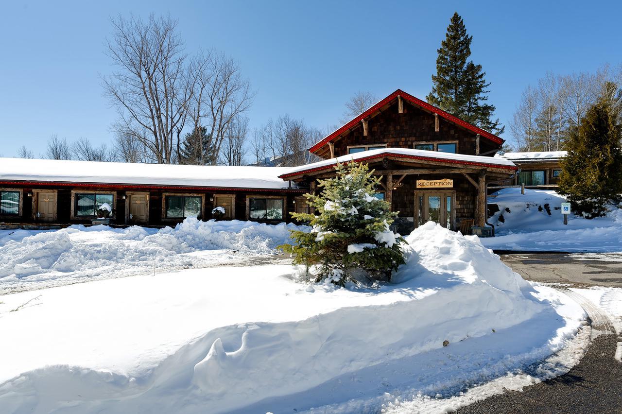 Lodge Adirondack Spruce