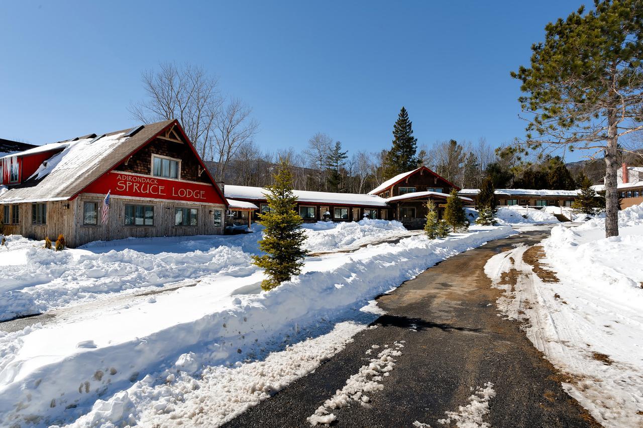 Adirondack Spruce