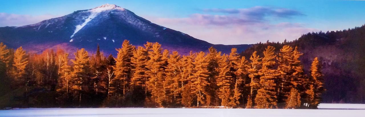 Adirondack Spruce