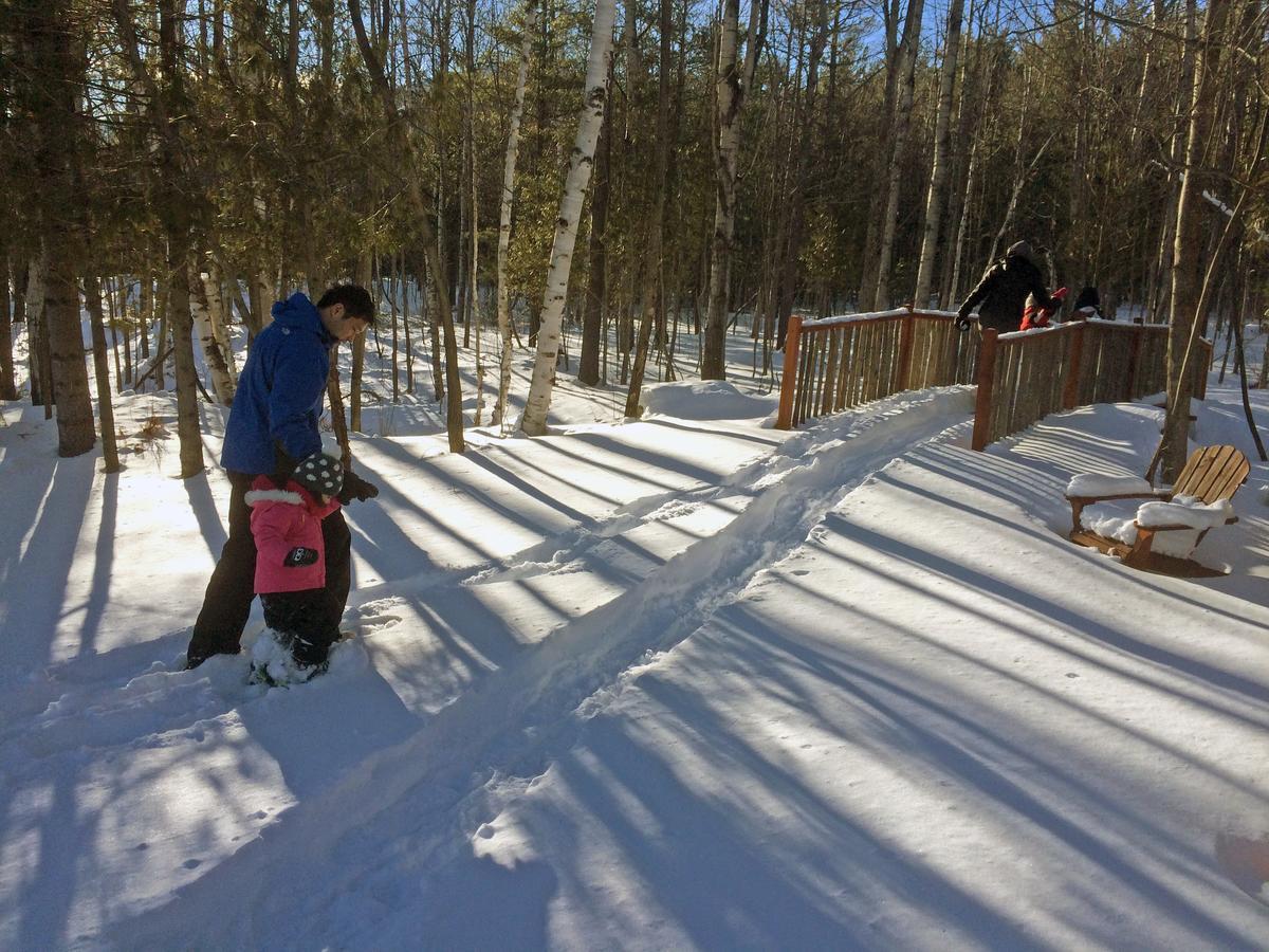 Lodge Adirondack Spruce