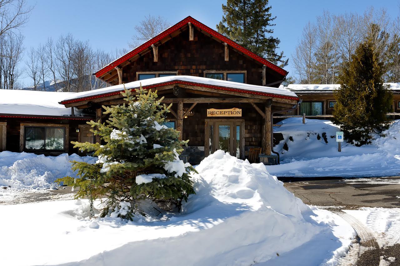 Adirondack Spruce Wilmington
